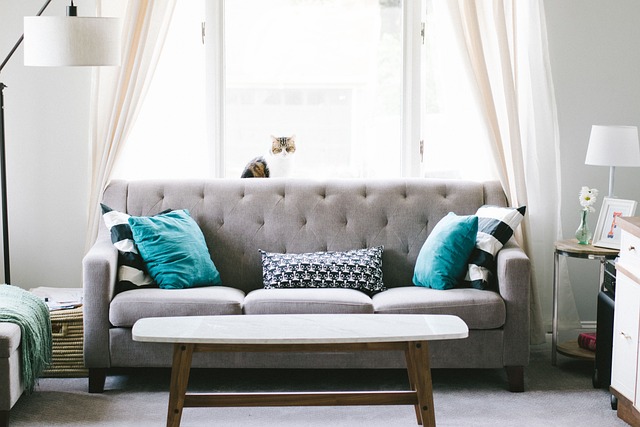 Transforma tu salón con muebles vintage: Ideas para crear un ambiente retro y acogedor